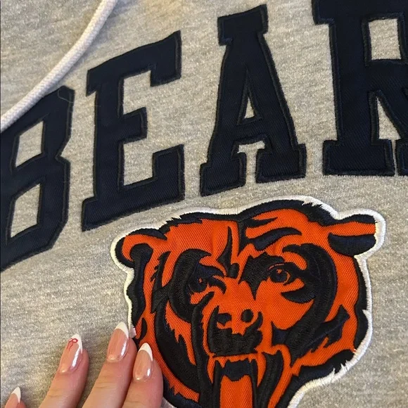 Bears Gray Hoodie Sweatshirt - Picture 5 of 6